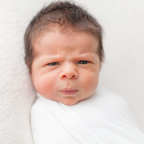 newborn photography business