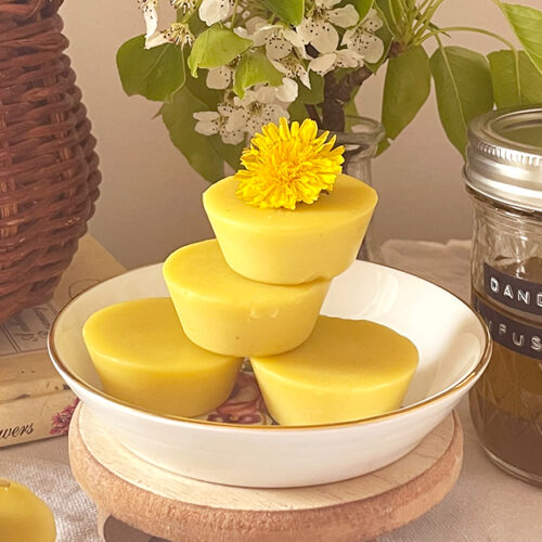 Dandelion lotion bars in a white dish