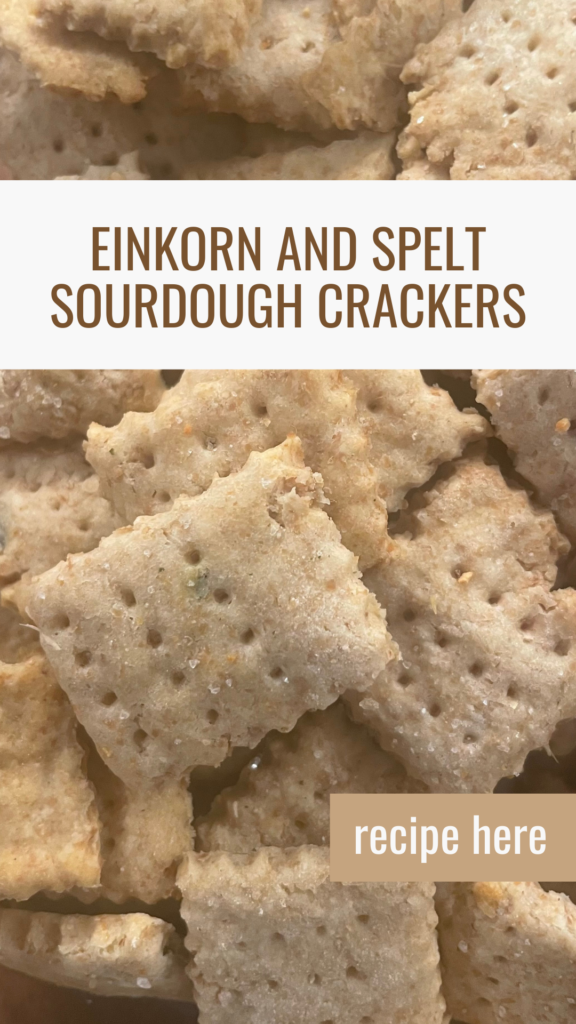 einkorn and spelt crackers