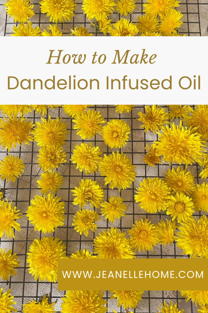 Dandelions Drying on a Rack for oil