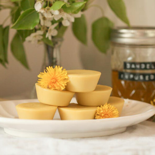 Homemade Dandelion Lotion Bars