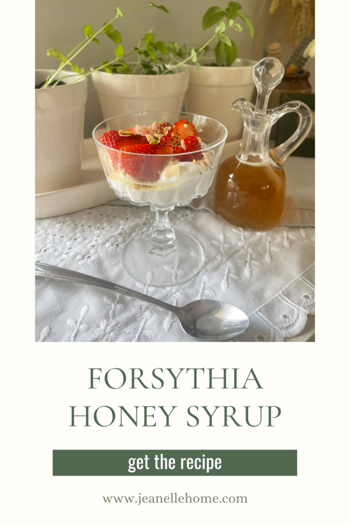 yogurt parfait with forsythia honey syrup